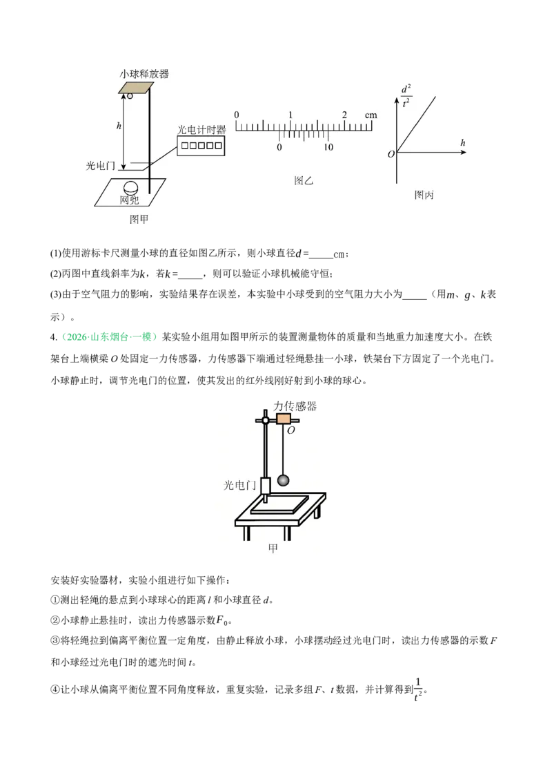 《专题01实验（2大考点）（山东专用）（学生版）_高考一二三轮复习_物理_2026年-物理高考专项复习_2026年高考物理一模试题分类汇编（山东专用）-G233_2026版》第3页预览