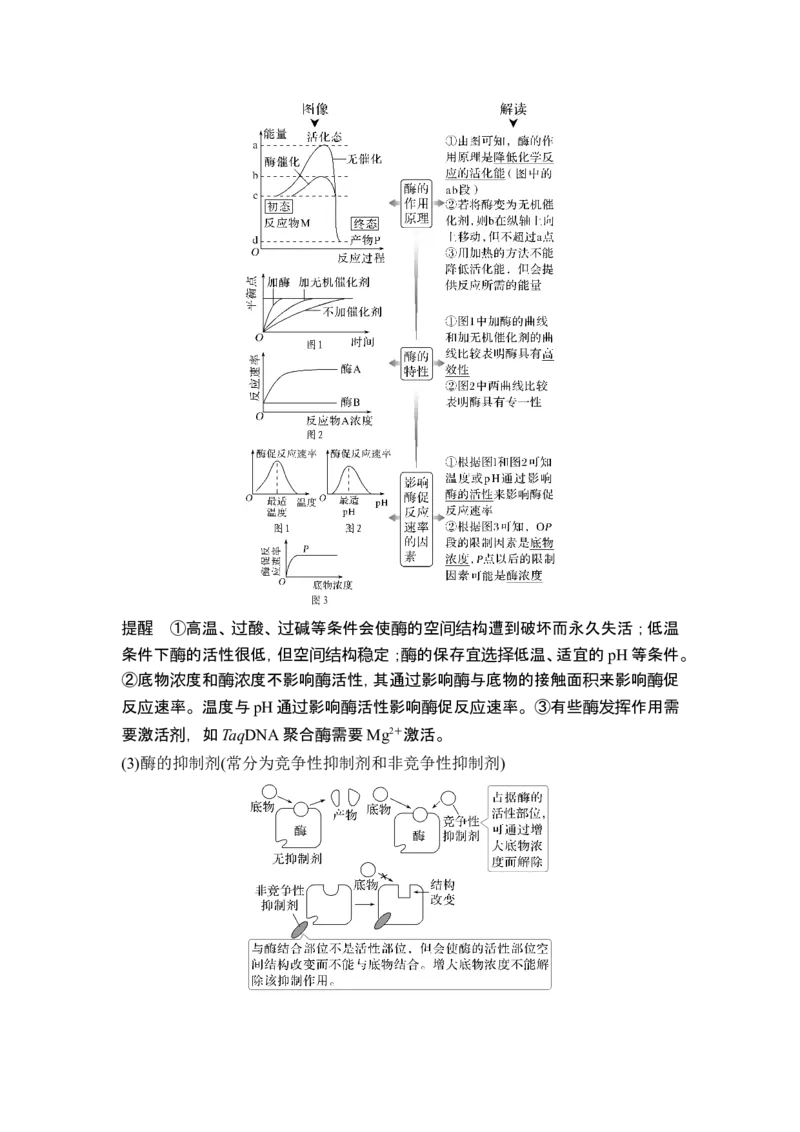 《课时1细胞的功能绝大多数基于化学反应(1)_2026版高中《二三轮复习+冲刺复习》_另附1套Word版题库_第一篇　大概念专题突破_大概念二细胞的生存需要能量和营养物质》第4页预览