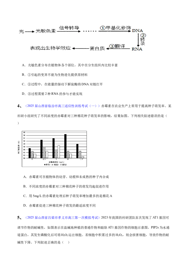 《专题09植物激素调节（学生版）_高考一二三轮复习_生物_2026年-生物高考专项复习_2025年高考生物一模试题分类汇编（陕西、陕西、宁夏、青海专用）》第2页预览