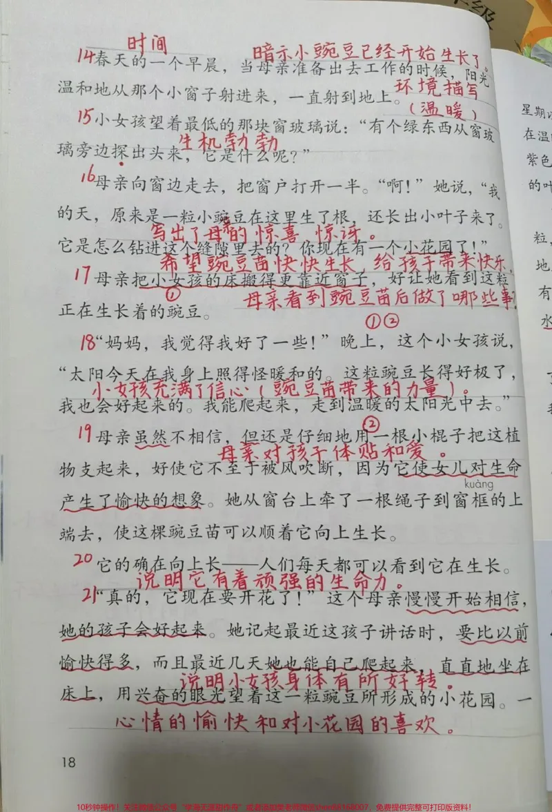 《四年级上册语文暑假逆袭学霸笔记。#小学语文#作文#语文#四年级#教育_最新小学1-9年级各科+幼升小+综合类学习资源汇总包_四年级一线老师整理版资源（全网独家）》第3页预览