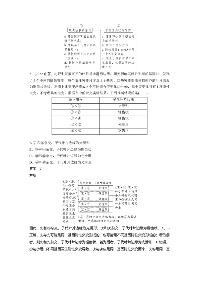 《第一部分　专题五　必备整合2　生物的变异与进化(1)_2026版高中《二三轮复习+冲刺复习》_教师用书Word版文档_第一部分　专题复习》第4页预览