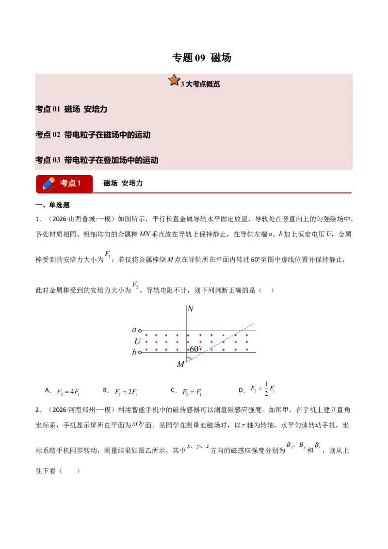 《专题09磁场(全国通用)(学生版)_高考一二三轮复习_物理_2027年高考物理专项更新中_2026年高考物理一模试题分类汇编(新高考通用)-G178_2026版》第1页预览