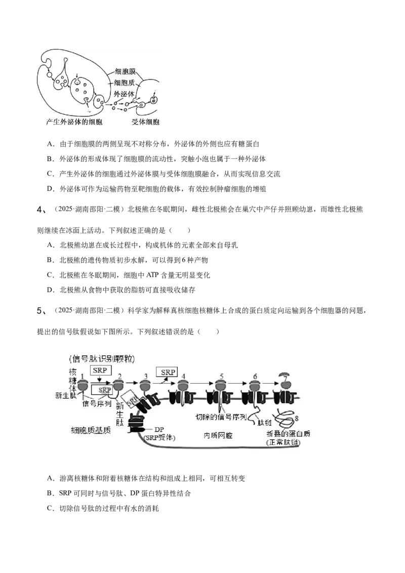 《专题01分子与细胞（学生版）_高考一二三轮复习_生物_2026年-生物高考专项复习_2025年高考生物二模试题分类汇编（湖南专用）》第2页预览