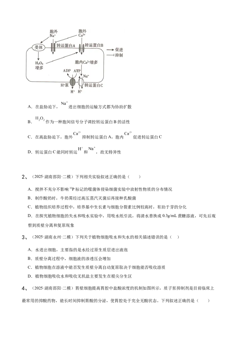 《专题01分子与细胞（学生版）_高考一二三轮复习_生物_2026年-生物高考专项复习_2025年高考生物二模试题分类汇编（湖南专用）》第4页预览