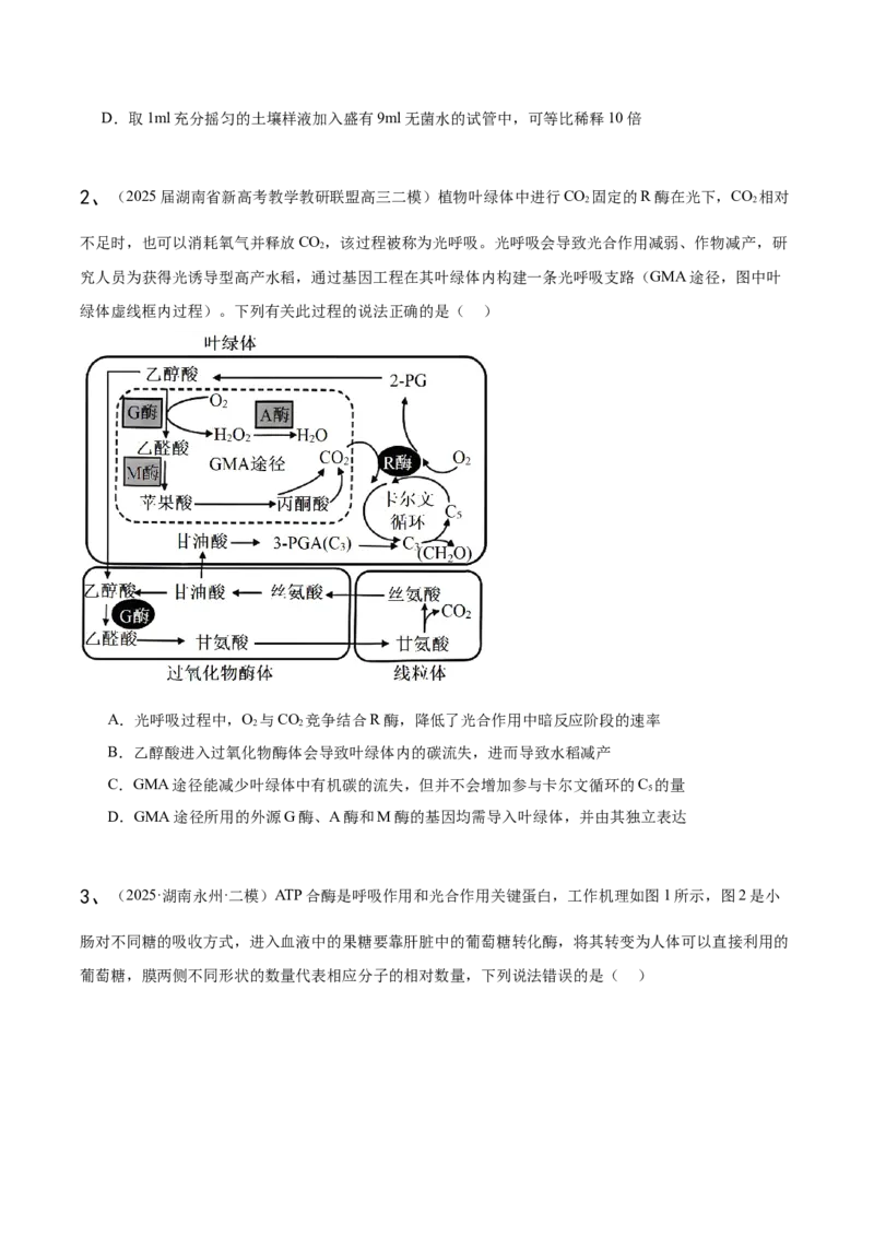 《专题01分子与细胞（学生版）_高考一二三轮复习_生物_2026年-生物高考专项复习_2025年高考生物二模试题分类汇编（湖南专用）》第8页预览
