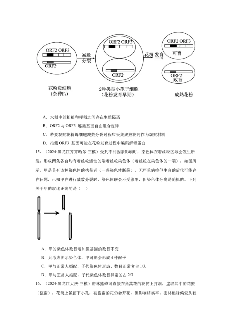 《专题09变异与育种（学生版）_高考一二三轮复习_生物_2026年-生物高考专项复习_2025年高考生物三模试题分类汇编（新高考通用）_2024版》第6页预览