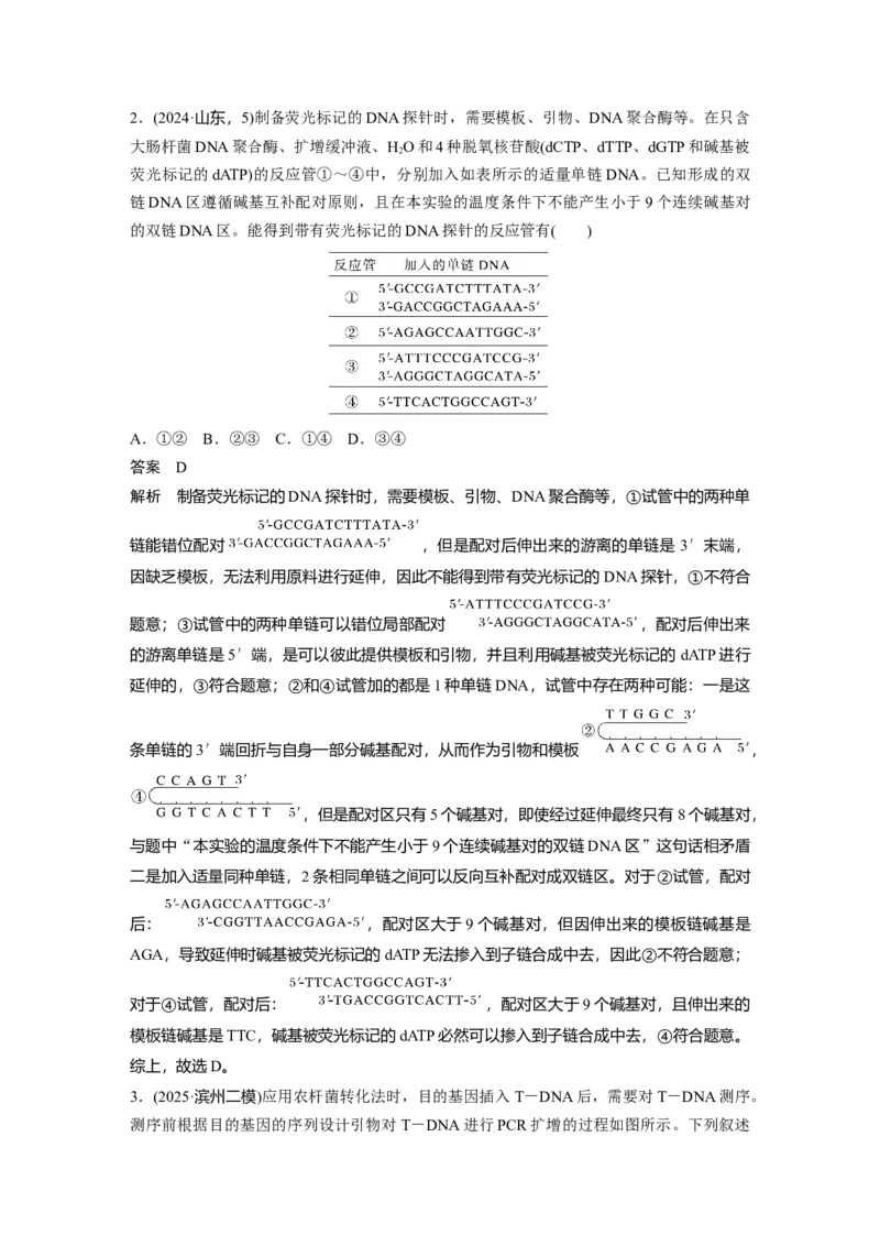 《第一部分　专题八　专题强化练　PCR技术及应用(1)_2026版高中《二三轮复习+冲刺复习》_教师用书Word版文档_第一部分　专题复习》第2页预览