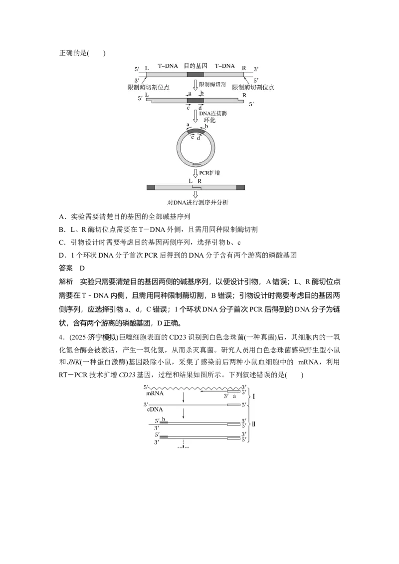 《第一部分　专题八　专题强化练　PCR技术及应用(1)_2026版高中《二三轮复习+冲刺复习》_教师用书Word版文档_第一部分　专题复习》第3页预览