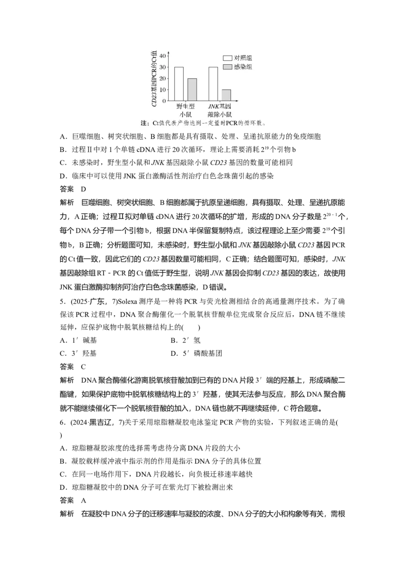 《第一部分　专题八　专题强化练　PCR技术及应用(1)_2026版高中《二三轮复习+冲刺复习》_教师用书Word版文档_第一部分　专题复习》第4页预览