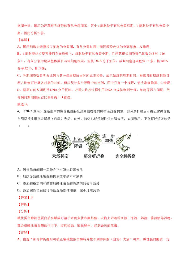 《专题15实验与探究-十年（2013-2022）高考生物真题分项汇编（全国通用）（解析版）_初高中资料库_高中资料库（转存避免链接过期失效）_高中生物》第3页预览
