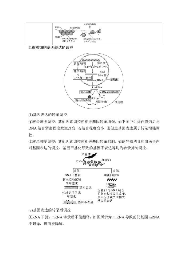《课时3基因表达的调控、基因频率计算、育种_2026版高中《二三轮复习+冲刺复习》_另附1套Word版题库_第一篇 大概念专题突破》第2页预览