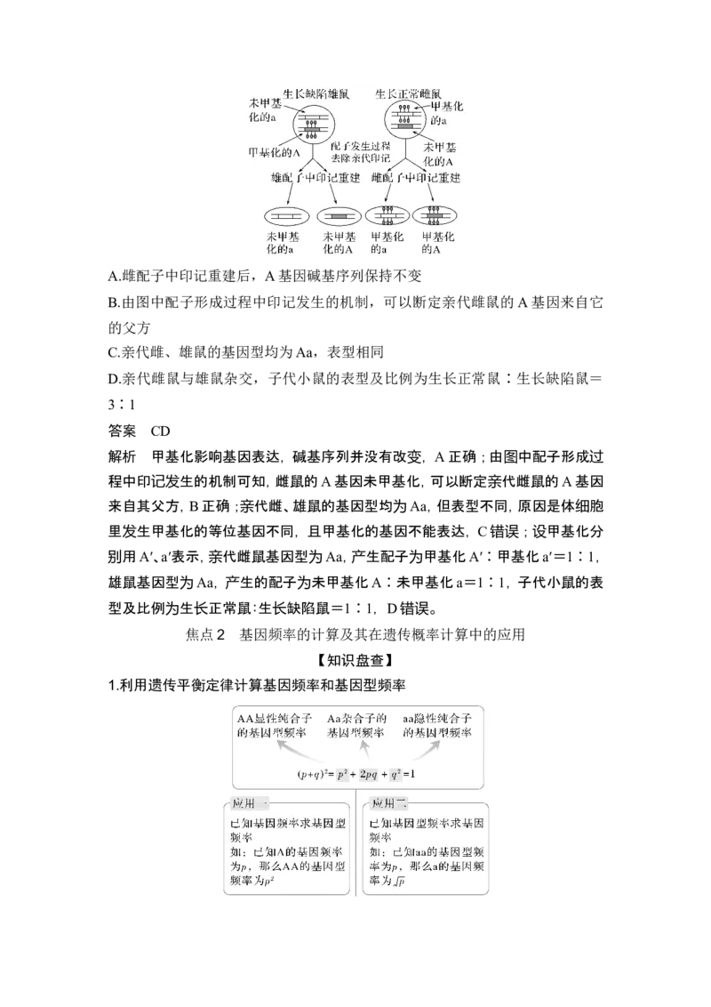 《课时3基因表达的调控、基因频率计算、育种_2026版高中《二三轮复习+冲刺复习》_另附1套Word版题库_第一篇 大概念专题突破》第6页预览