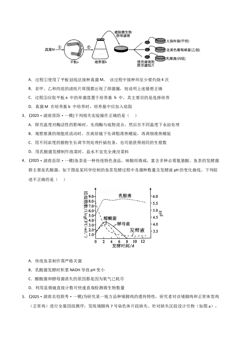 《专题09生物技术与工程（学生版）_高考一二三轮复习_生物_2026年-生物高考专项复习_2025年高考生物一模试题分类汇编（湖南专用）》第2页预览