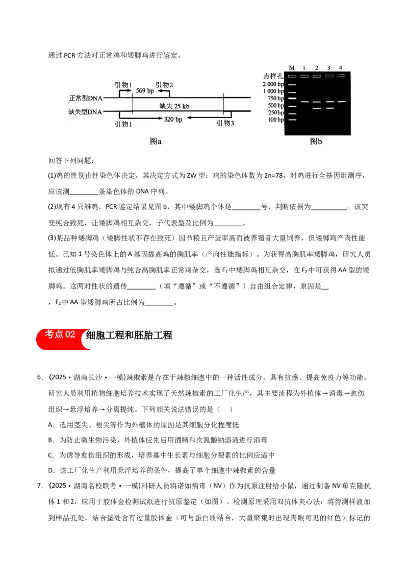 《专题09生物技术与工程（学生版）_高考一二三轮复习_生物_2026年-生物高考专项复习_2025年高考生物一模试题分类汇编（湖南专用）》第3页预览