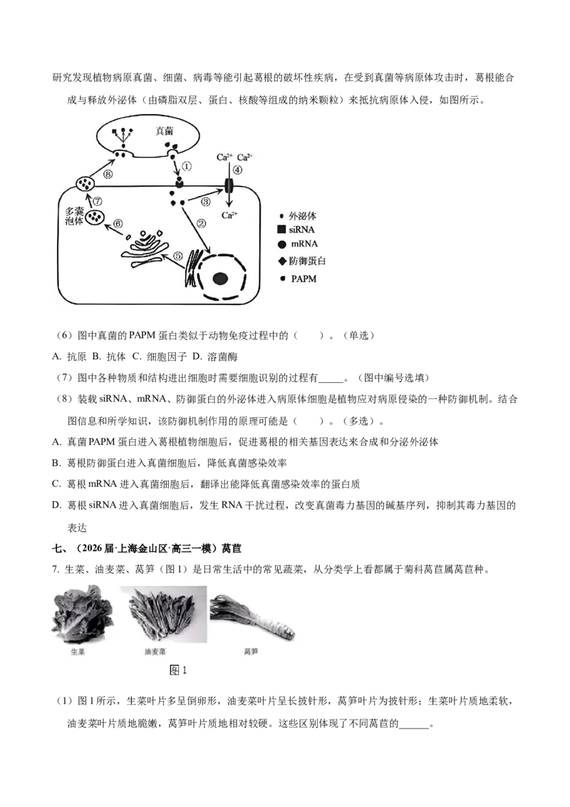 《专题01植物生理（学生版）_高考一二三轮复习_生物_2026年-生物高考专项复习_2026年高考生物一模试题分类汇编（上海专用）-G174_2026版》第10页预览