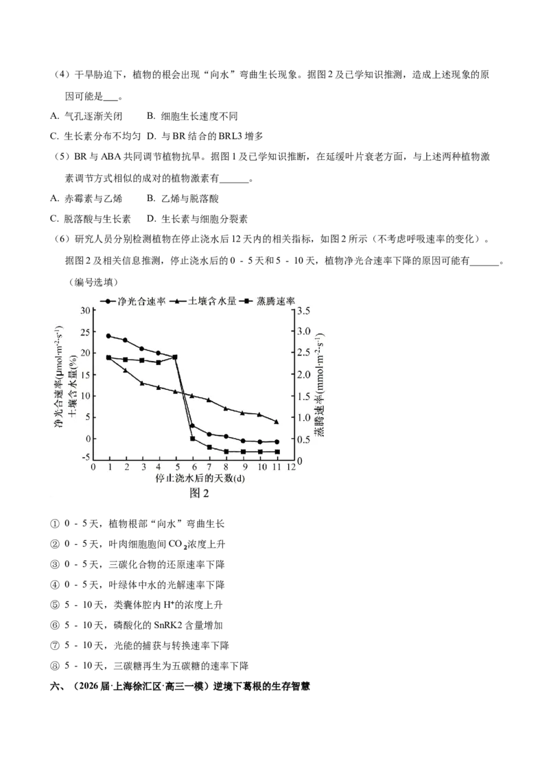 《专题01植物生理（学生版）_高考一二三轮复习_生物_2026年-生物高考专项复习_2026年高考生物一模试题分类汇编（上海专用）-G174_2026版》第7页预览