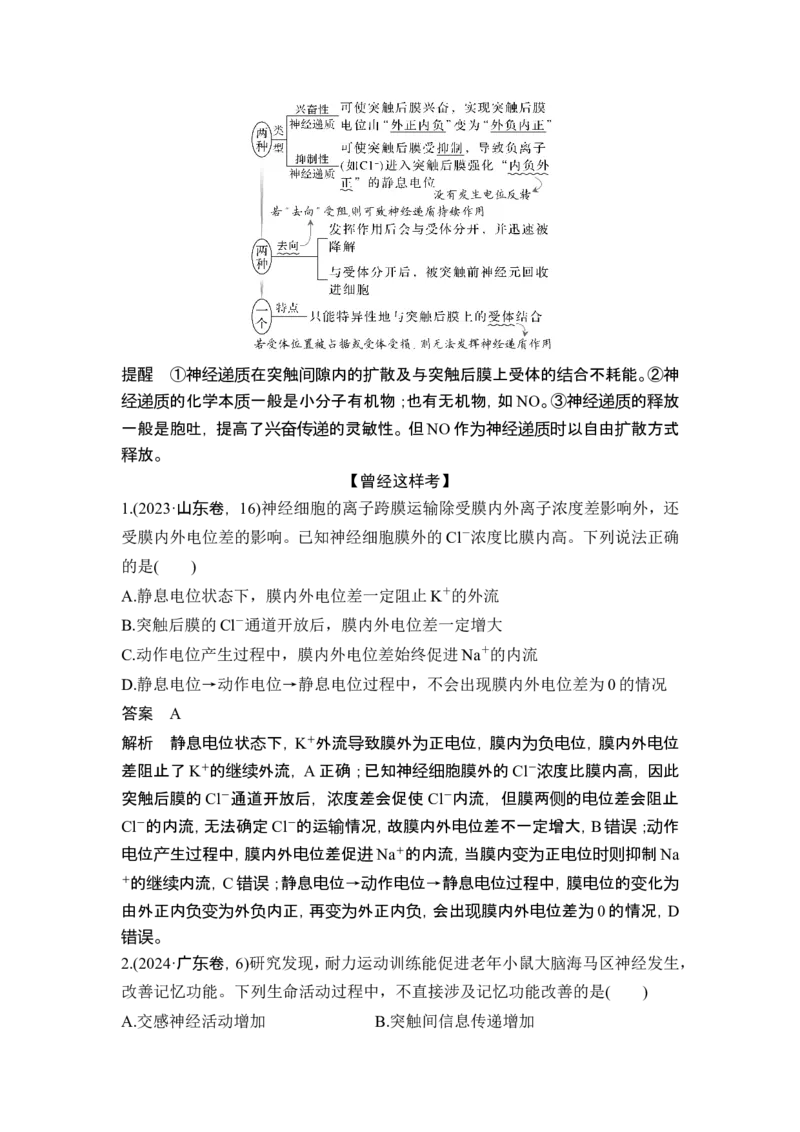 《课时2神经系统通过调控器官、系统的活动实现机体稳态，内分泌系统通过多种激素的调节作用实现机体稳态(1)_2026版高中《二三轮复习+冲刺复习》_另附1套Word版题库》第3页预览