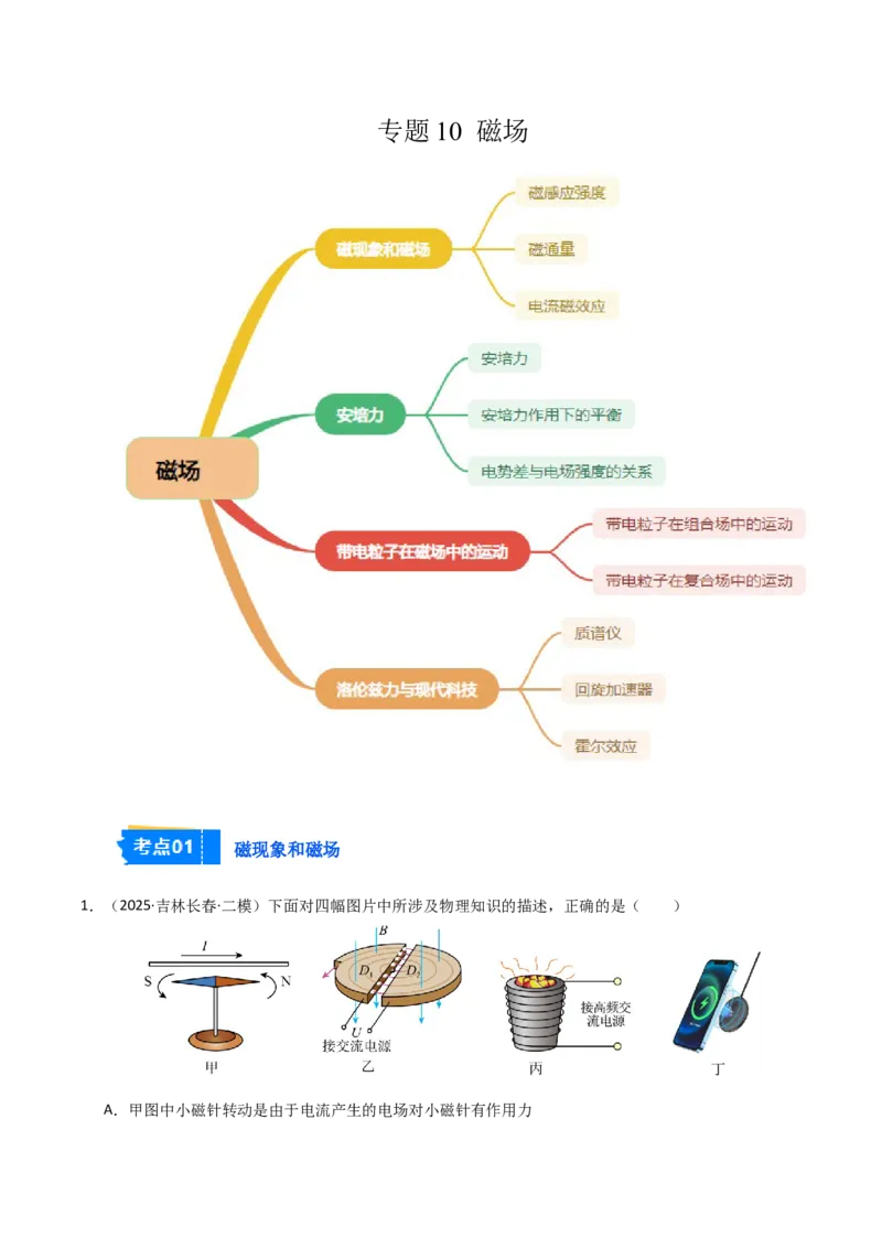 《专题10磁场（新高考通用）（学生版）_高考一二三轮复习_物理_2026年-物理高考专项复习_2025年高考物理二模试题分类汇编（新高考专用）_2025版》第1页预览