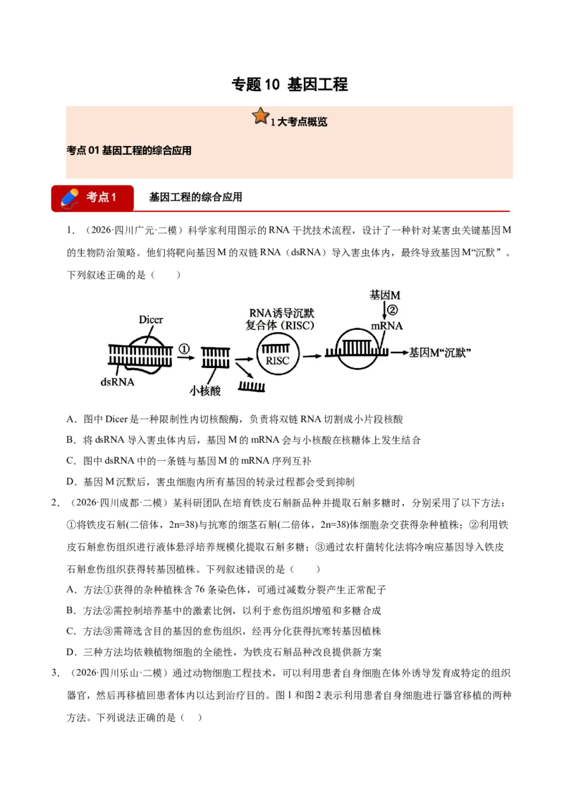 《专题10基因工程（1大考点）（学生版）(1)_高考一二三轮复习_生物_2027年高考生物专项_2026年高考生物二模试题分类汇编（四川专用）-G282_2026版》第1页预览
