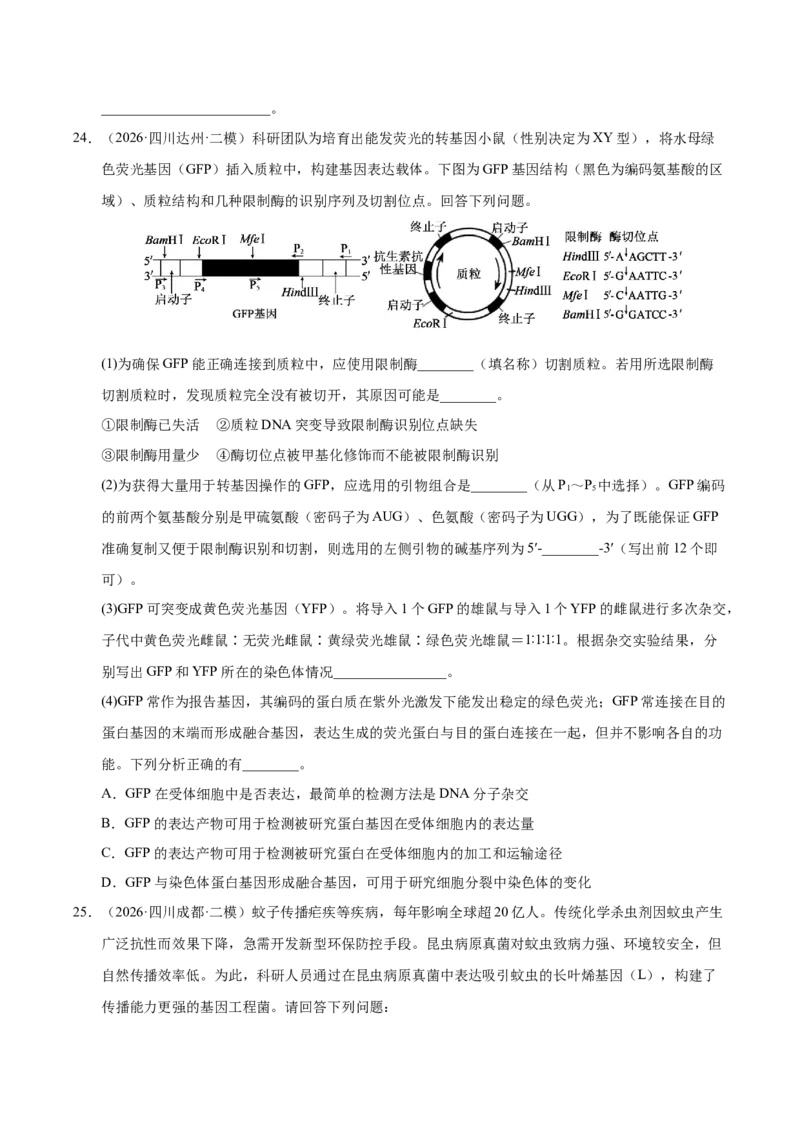 《专题10基因工程（1大考点）（学生版）(1)_高考一二三轮复习_生物_2027年高考生物专项_2026年高考生物二模试题分类汇编（四川专用）-G282_2026版》第10页预览