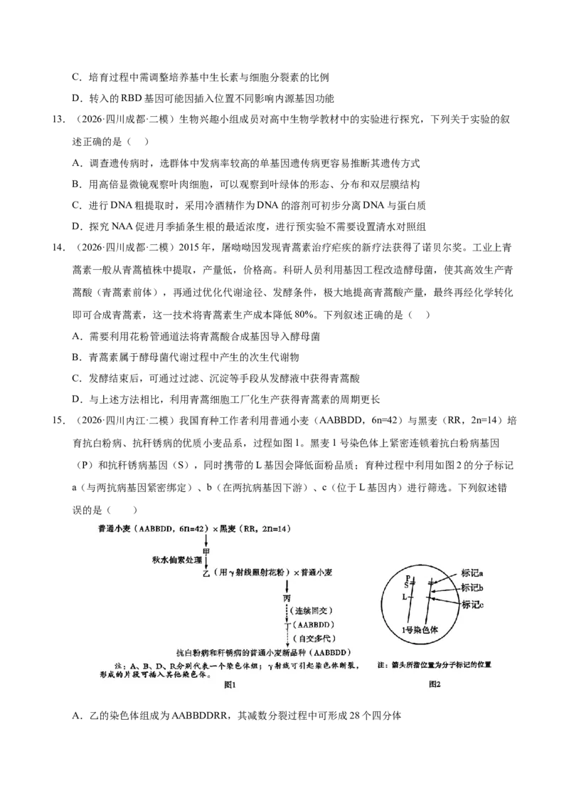 《专题10基因工程（1大考点）（学生版）(1)_高考一二三轮复习_生物_2027年高考生物专项_2026年高考生物二模试题分类汇编（四川专用）-G282_2026版》第5页预览