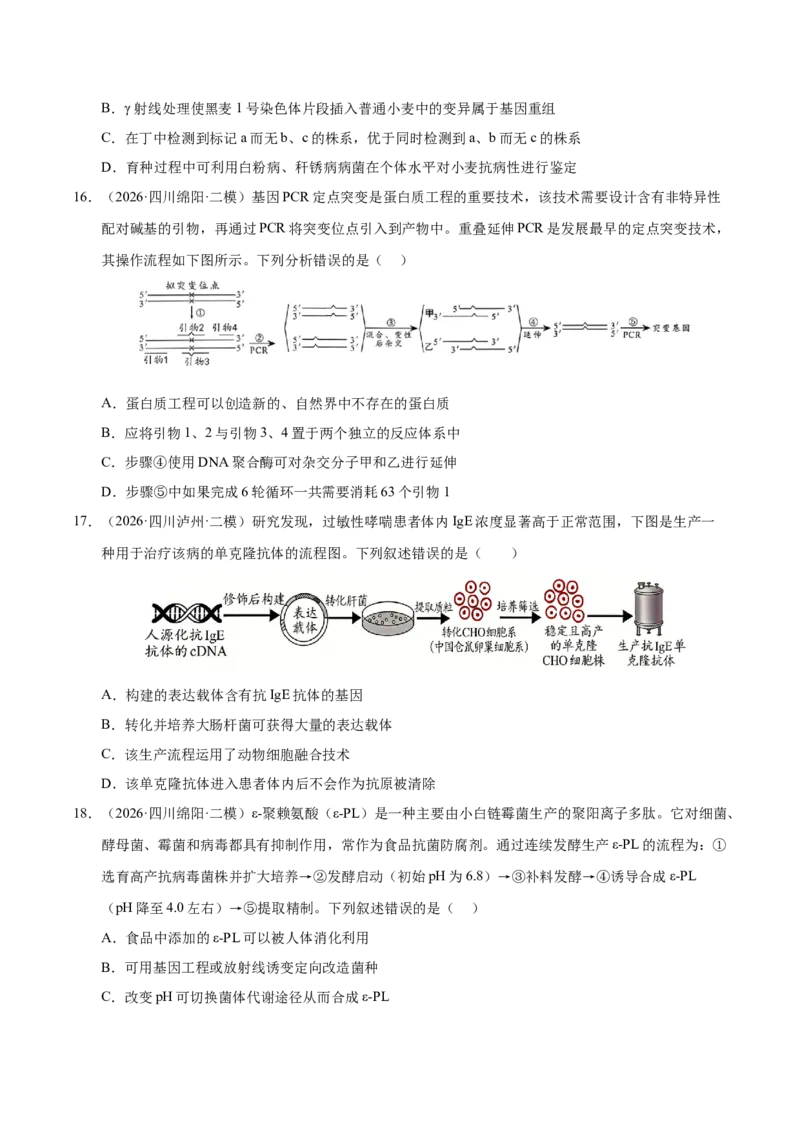 《专题10基因工程（1大考点）（学生版）(1)_高考一二三轮复习_生物_2027年高考生物专项_2026年高考生物二模试题分类汇编（四川专用）-G282_2026版》第6页预览