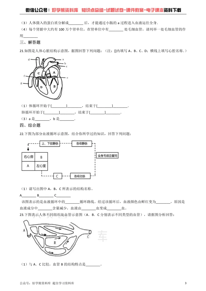 《冀教版七年级下册生物第二章爱护心脏确保运输单元检测_初高中资料库_初中资料库（转存避免链接过期失效）_初中生物》第3页预览