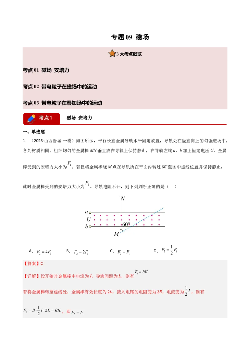 《专题09磁场(全国通用)(教师版)_高考一二三轮复习_物理_2026年-物理高考专项复习_2026年高考物理一模试题分类汇编(新高考通用)-G178_2026版》第1页预览