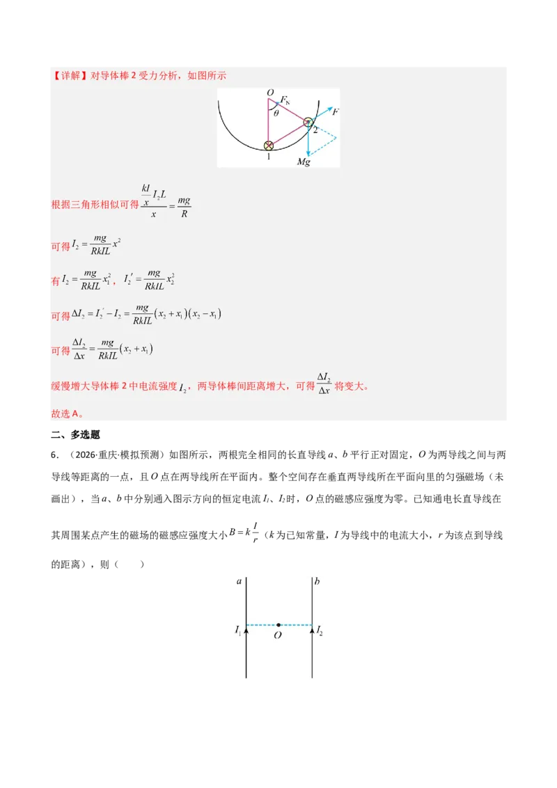 《专题09磁场(全国通用)(教师版)_高考一二三轮复习_物理_2026年-物理高考专项复习_2026年高考物理一模试题分类汇编(新高考通用)-G178_2026版》第5页预览