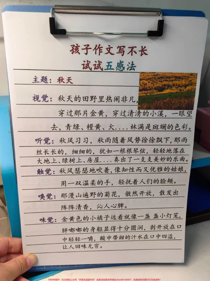 《作文写不长,就用五感法。五感法写作文!#语文#作文范文#晨读#晨读打卡#每天学习一点点_最新小学1-9年级各科+幼升小+综合类学习资源汇总包_综合类一线老师整理版资源(全网独家)》第2页预览