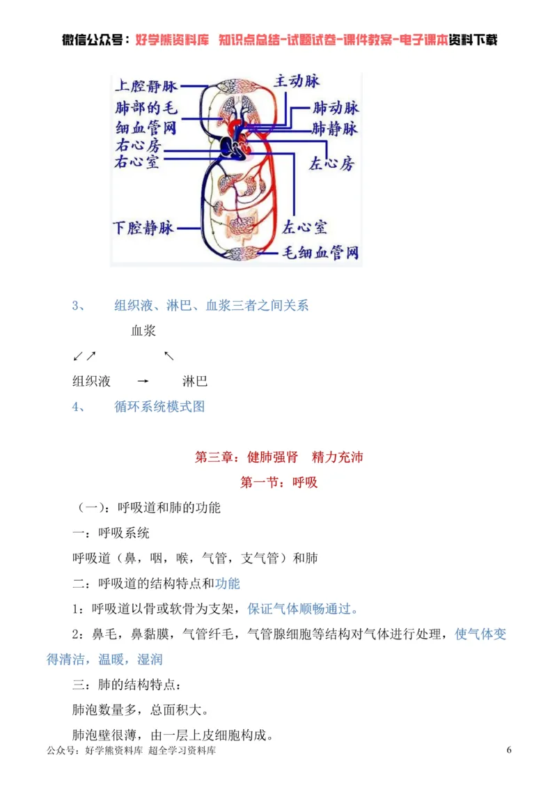 《冀教版七年级下册生物知识点总结_初高中资料库_初中资料库（转存避免链接过期失效）_初中生物》第6页预览