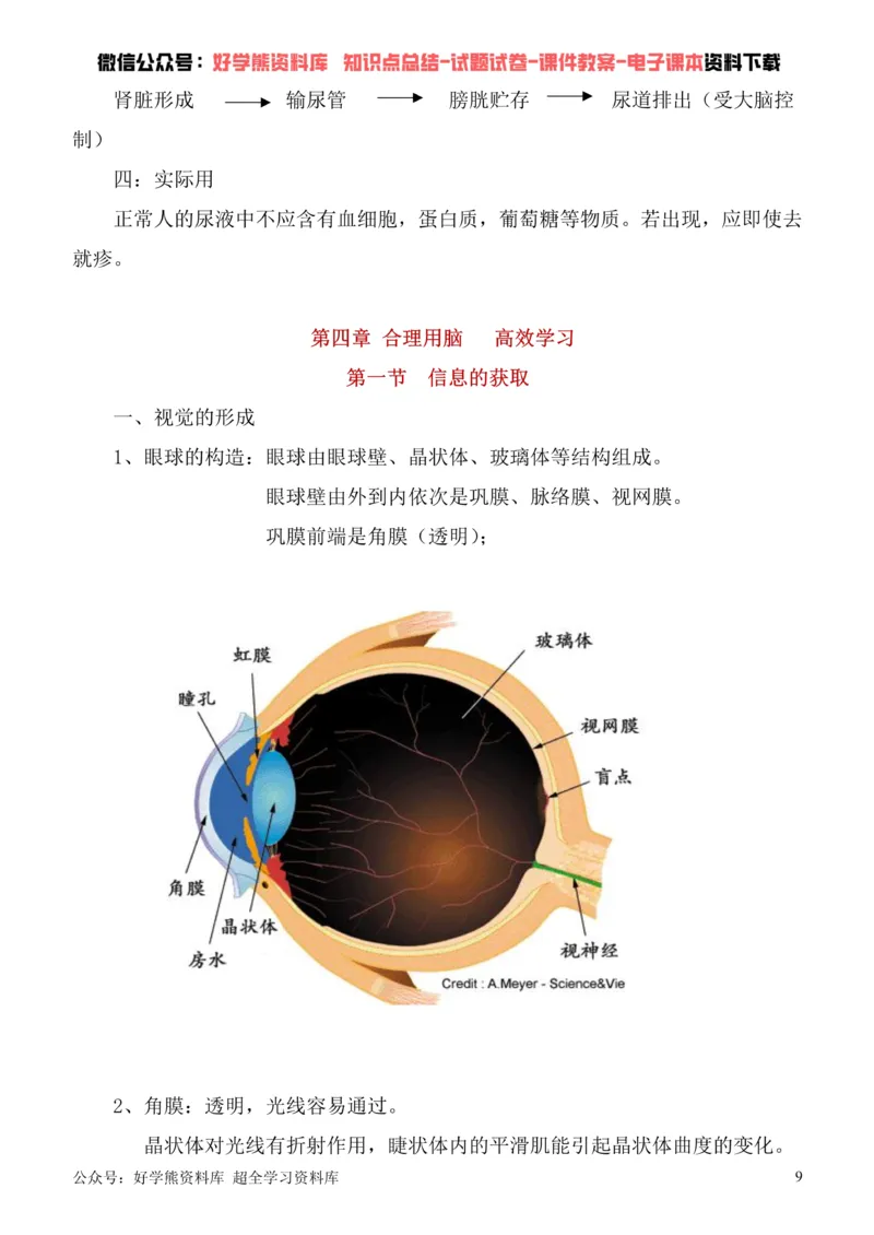 《冀教版七年级下册生物知识点总结_初高中资料库_初中资料库（转存避免链接过期失效）_初中生物》第9页预览