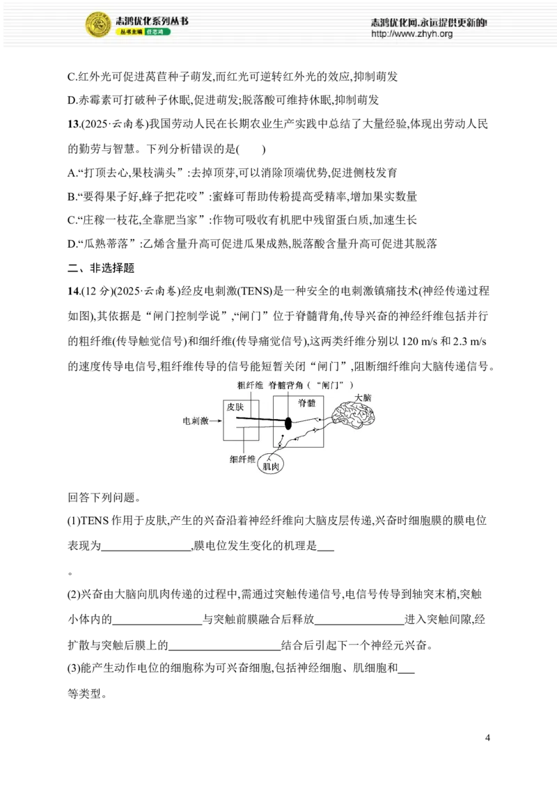 《限时练17　大单元六查缺补漏保分练_2026版高中《二三轮复习+冲刺复习》_高考总复习优化设计二轮用书生物课后习题Word_课后习题_大单元6　个体通过一定的调节机制保持稳态》第4页预览