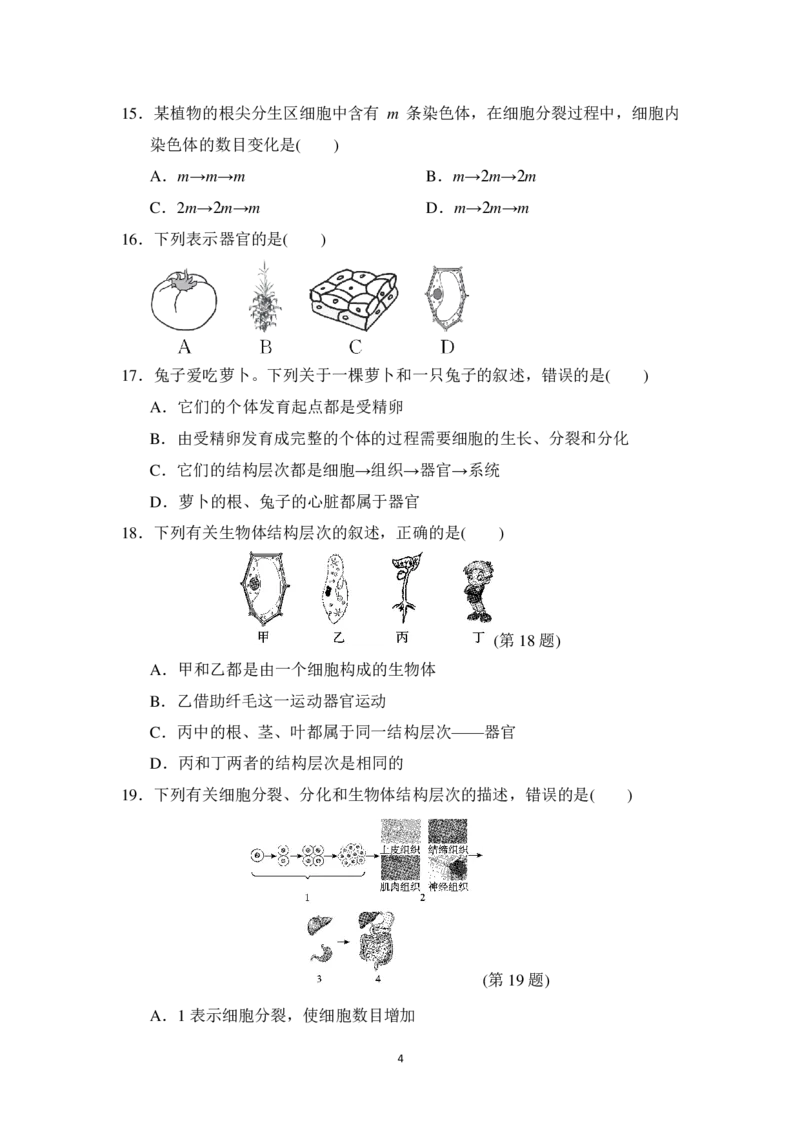 《24秋最新版人教版七年级上册生物期中测试卷(含答案)_初中全科知识点总结和试卷_赠送习题试卷_初中3年学习辅助资料_3、初中测试卷》第4页预览