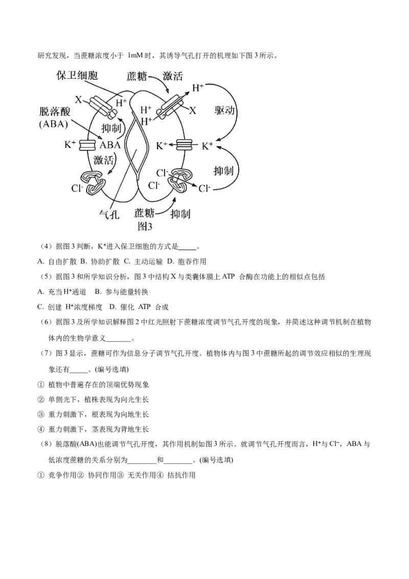 《专题01植物生理（教师版）_高考一二三轮复习_生物_2026年-生物高考专项复习_2026年高考生物一模试题分类汇编（上海专用）-G174_2026版》第2页预览