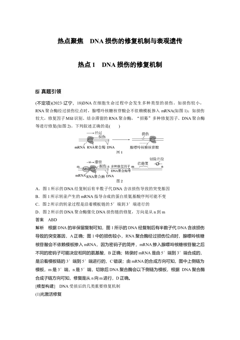 《第一部分　专题五　热点聚焦　DNA损伤的修复机制与表观遗传(1)_2026版高中《二三轮复习+冲刺复习》_教师用书Word版文档_第一部分　专题复习》第1页预览