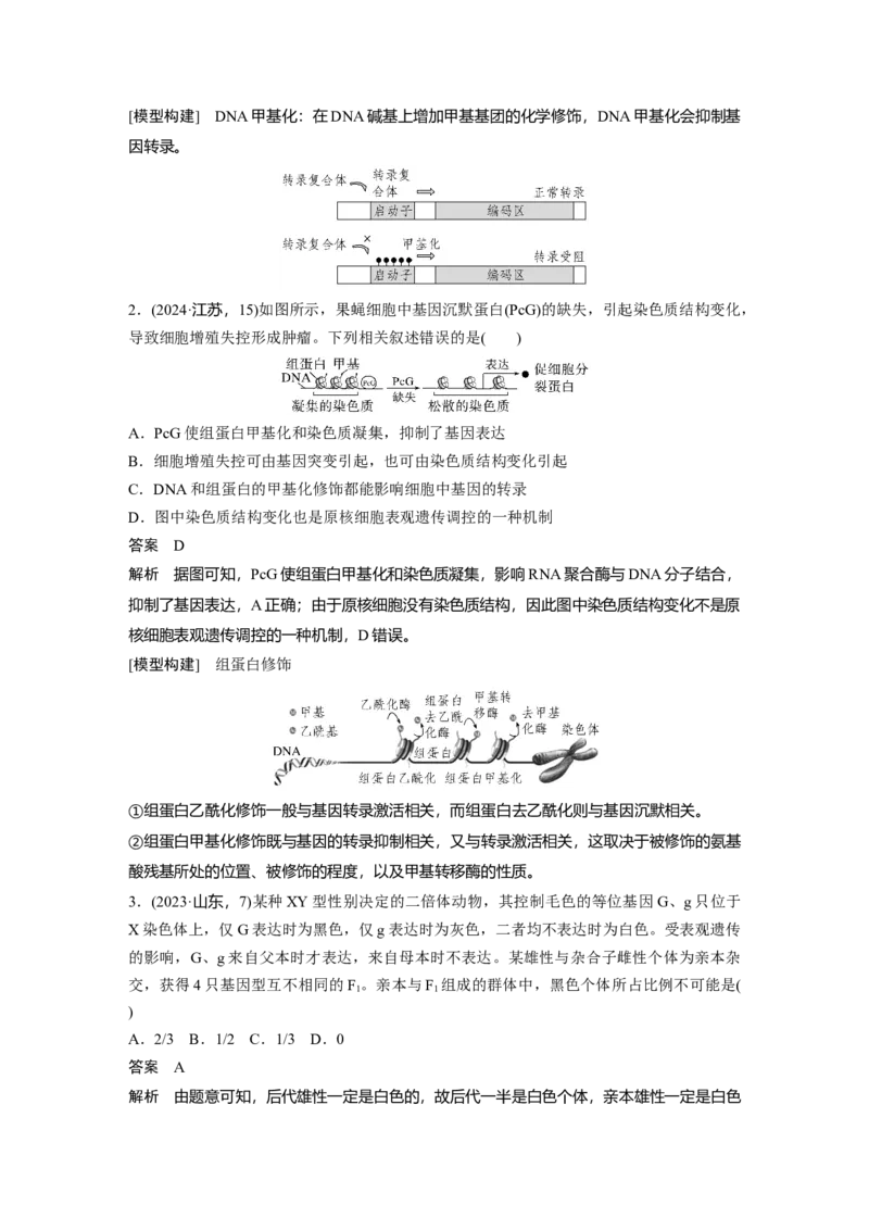 《第一部分　专题五　热点聚焦　DNA损伤的修复机制与表观遗传(1)_2026版高中《二三轮复习+冲刺复习》_教师用书Word版文档_第一部分　专题复习》第5页预览