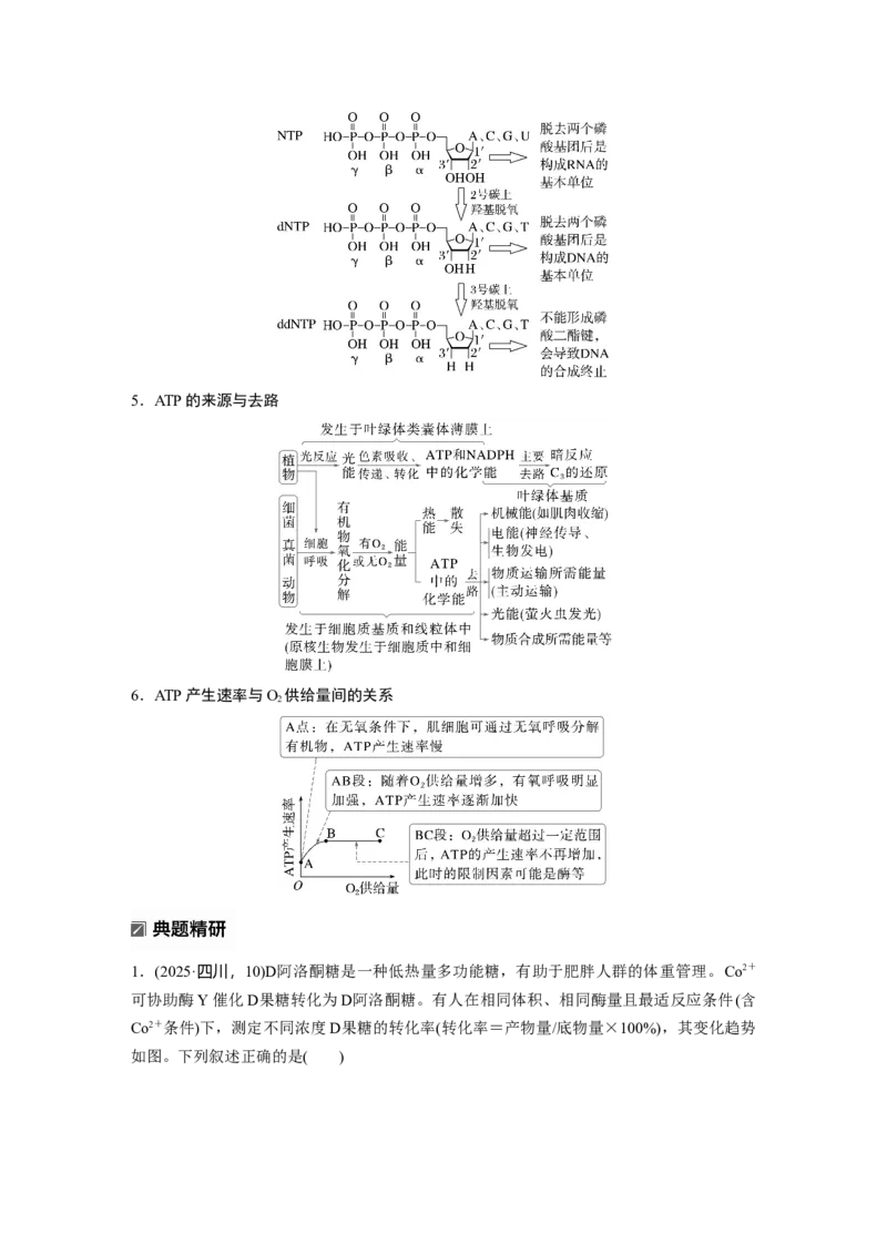 《第一部分 专题二 必备整合 细胞内代谢反应的基本原理_2026版高中《二三轮复习+冲刺复习》_教师用书Word版文档_第一部分 专题复习》第4页预览