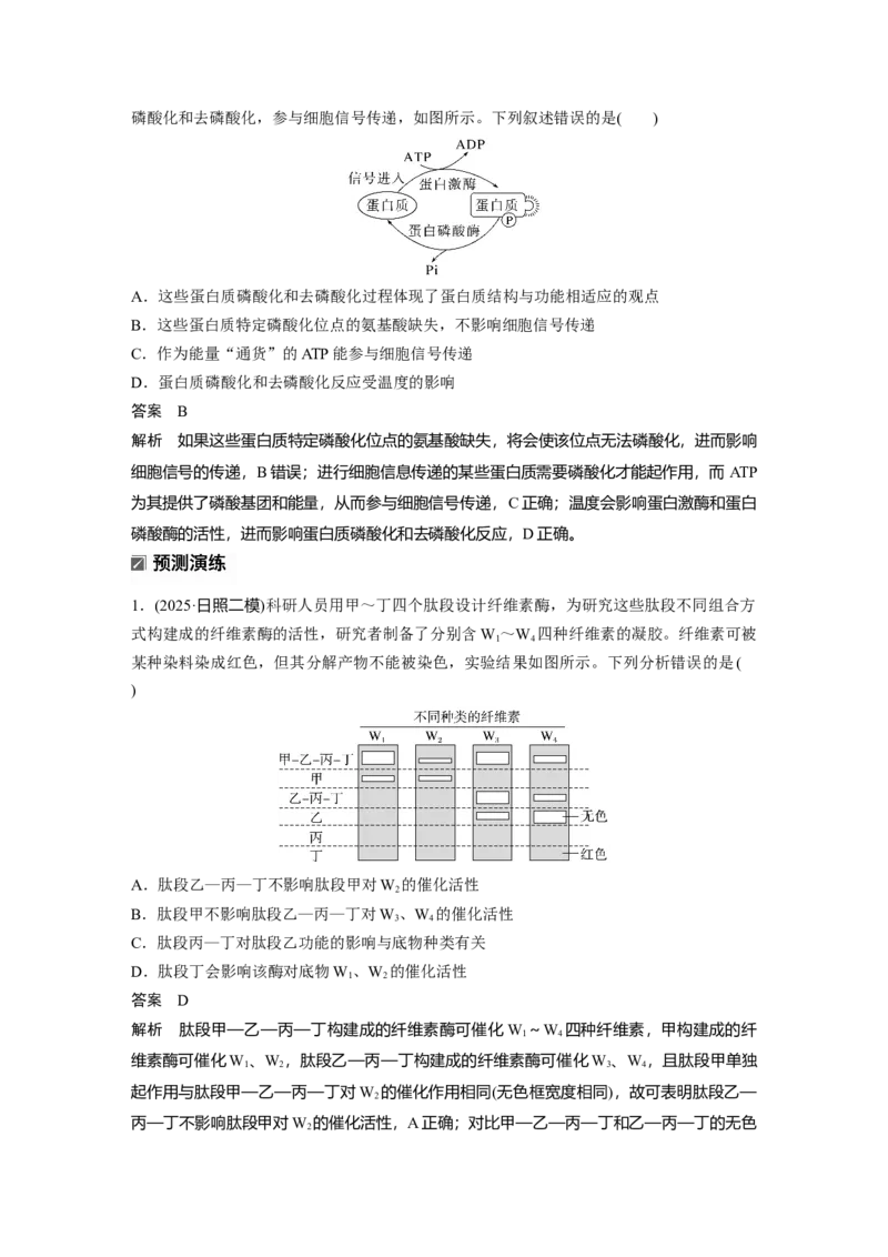 《第一部分 专题二 必备整合 细胞内代谢反应的基本原理_2026版高中《二三轮复习+冲刺复习》_教师用书Word版文档_第一部分 专题复习》第7页预览