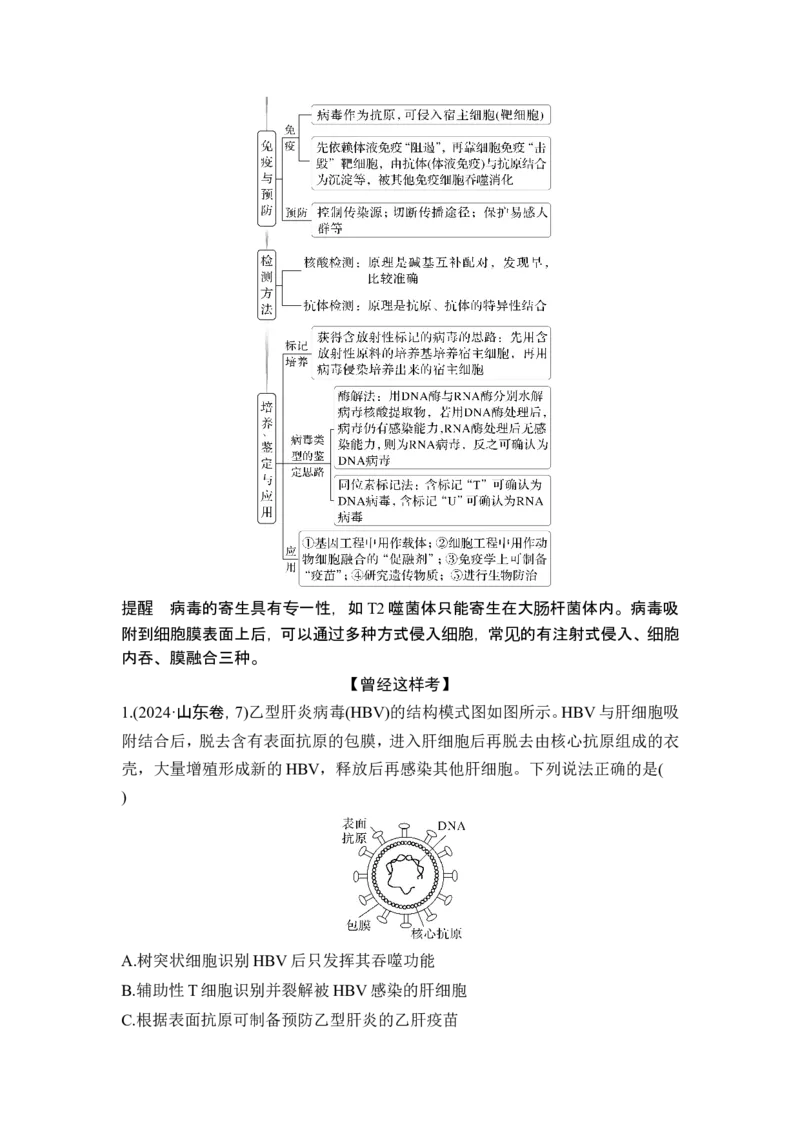 《课时2病毒、细胞的结构和功能观、蛋白质的分选和囊泡运输、特殊跨膜运输等(1)_2026版高中《二三轮复习+冲刺复习》_另附1套Word版题库_第一篇 大概念专题突破》第3页预览