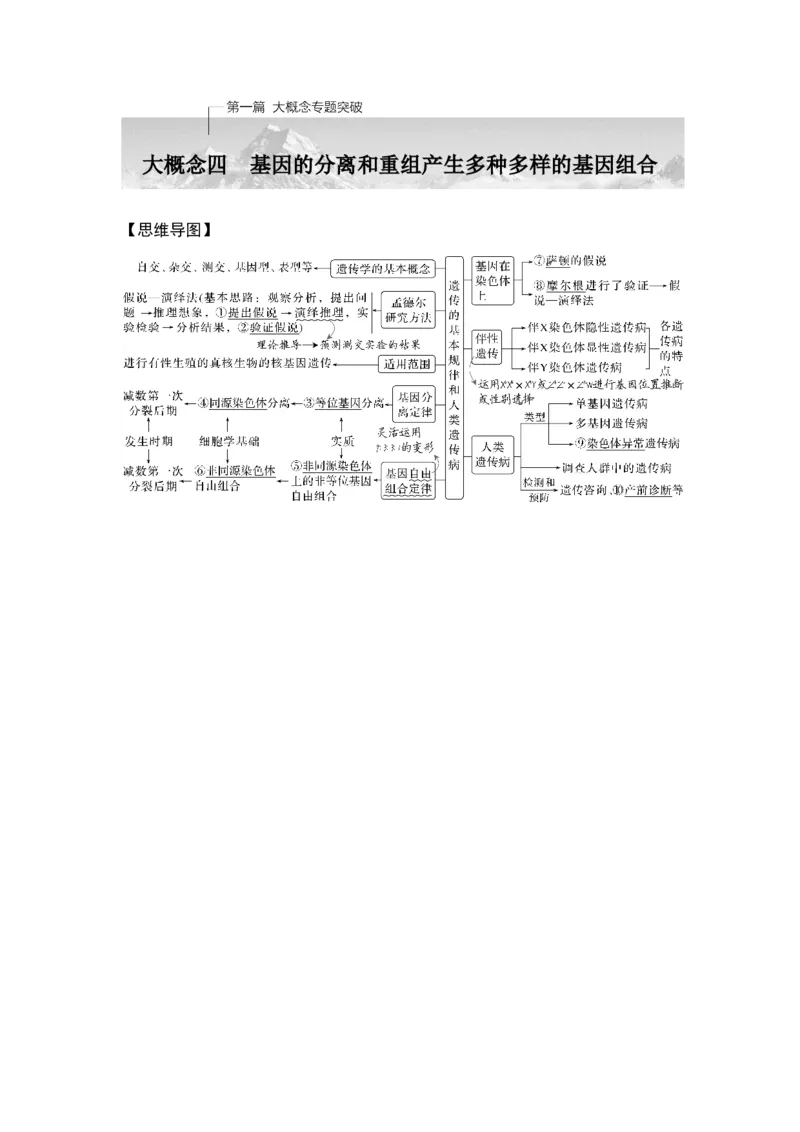 《课时1有性生殖过程中基因的分离和组合导致后代基因组合有多种可能(1)_2026版高中《二三轮复习+冲刺复习》_另附1套Word版题库_第一篇　大概念专题突破》第1页预览