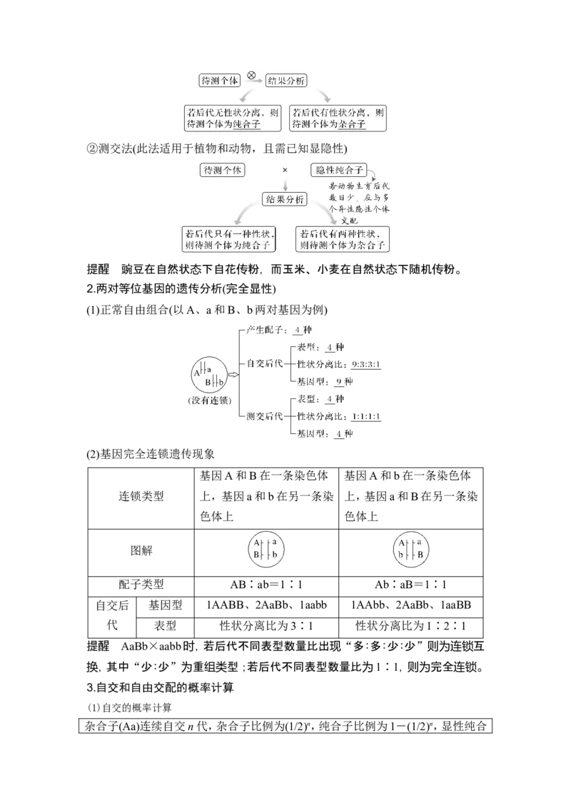 《课时1有性生殖过程中基因的分离和组合导致后代基因组合有多种可能(1)_2026版高中《二三轮复习+冲刺复习》_另附1套Word版题库_第一篇　大概念专题突破》第4页预览