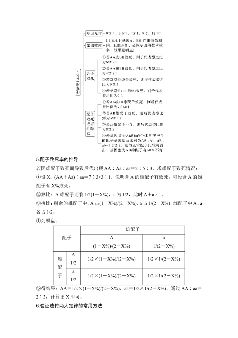 《课时1有性生殖过程中基因的分离和组合导致后代基因组合有多种可能(1)_2026版高中《二三轮复习+冲刺复习》_另附1套Word版题库_第一篇　大概念专题突破》第6页预览