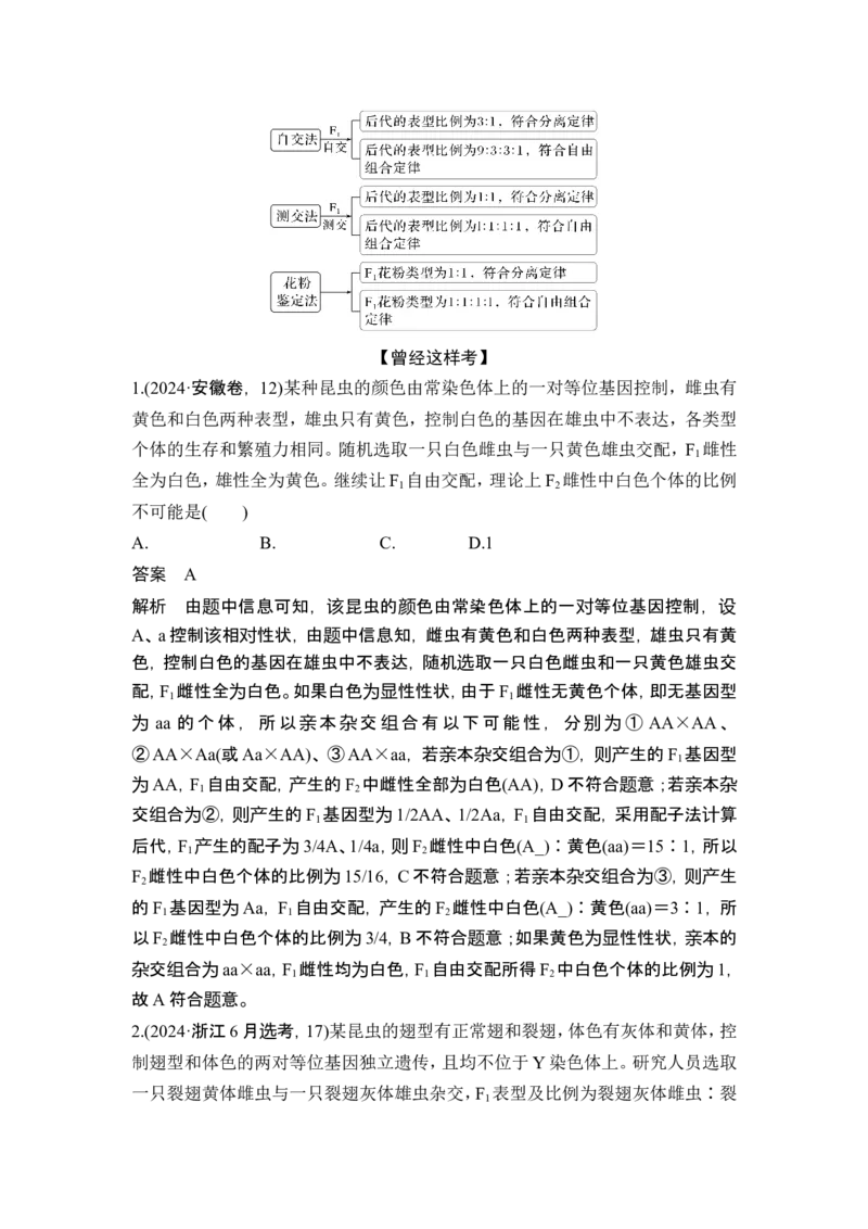 《课时1有性生殖过程中基因的分离和组合导致后代基因组合有多种可能(1)_2026版高中《二三轮复习+冲刺复习》_另附1套Word版题库_第一篇　大概念专题突破》第7页预览