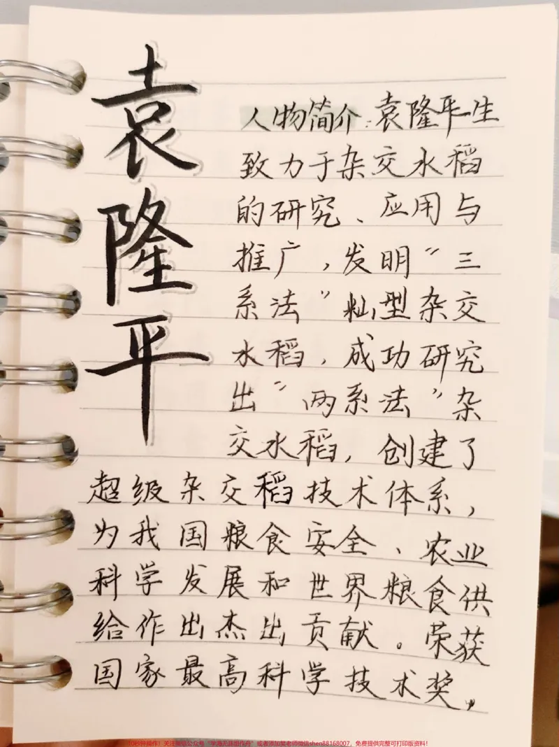 《每天一个作文人物素材——袁隆平#作文#作文素材#手写笔记#图文伙伴计划#qunju888.com图文来了_最新小学1-9年级各科+幼升小+综合类学习资源汇总包_初中一线老师整理版资源(全网独家)》第1页预览