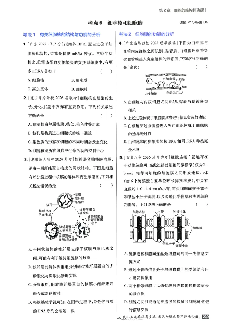 《考点精练_2027高中必刷题_必刷题2027_2027高一高二必刷题_高考必刷题_高中必刷题_2027版高中《必刷题600分考点700分考法》（全科）_27版生物》第10页预览
