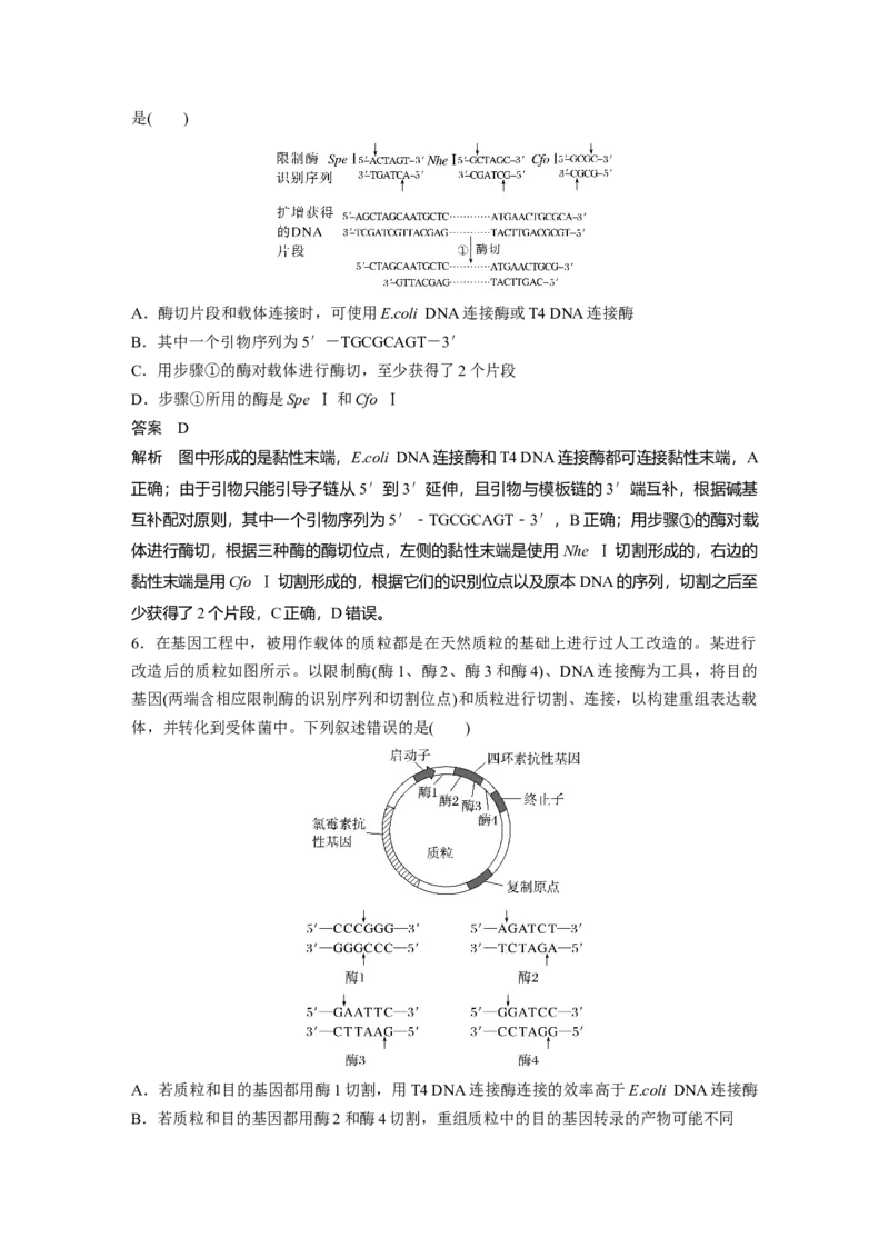 《第一部分　专题八　专题强化练　基因工程及其应用(1)_2026版高中《二三轮复习+冲刺复习》_教师用书Word版文档_第一部分　专题复习》第4页预览