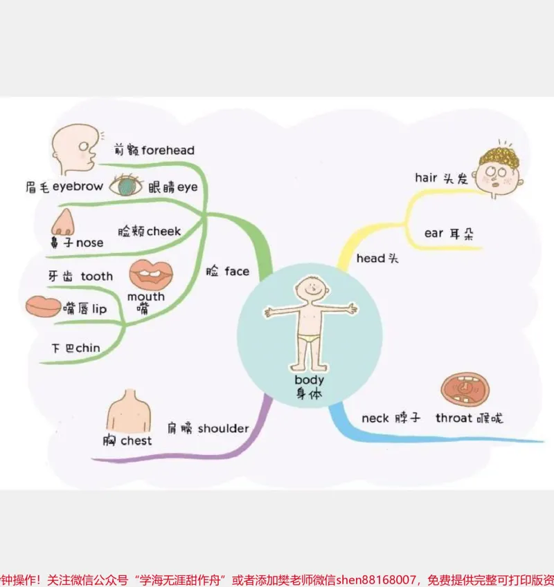 《用思维导图速记小学生英语单词。#用思维导图速记小学生英语单词#小学英语单词#巧记单词#小学背英文单词技巧#如何速记英语单词#小学生英语单词思维导图》第3页预览