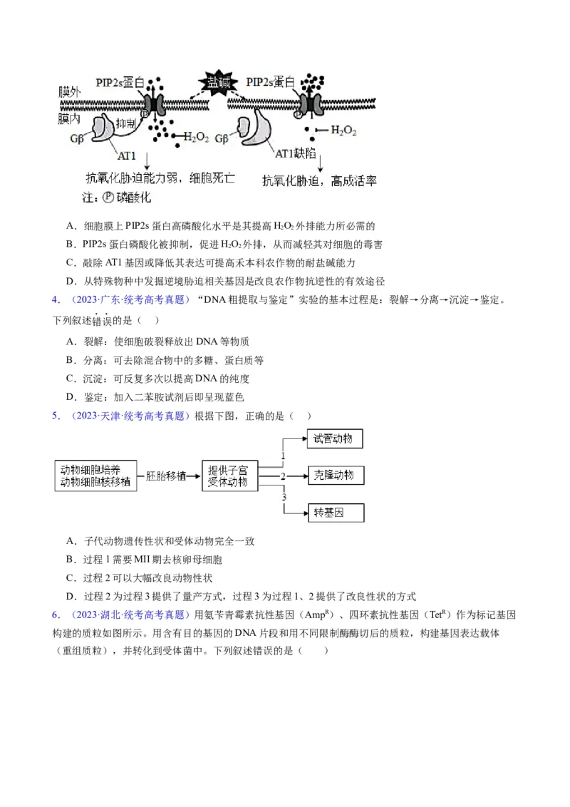 《专题21基因工程-学易金卷：五年（2019-2023）高考生物真题分项汇编（全国通用）（原卷版）_初高中资料库_高中资料库（转存避免链接过期失效）_高中生物》第2页预览