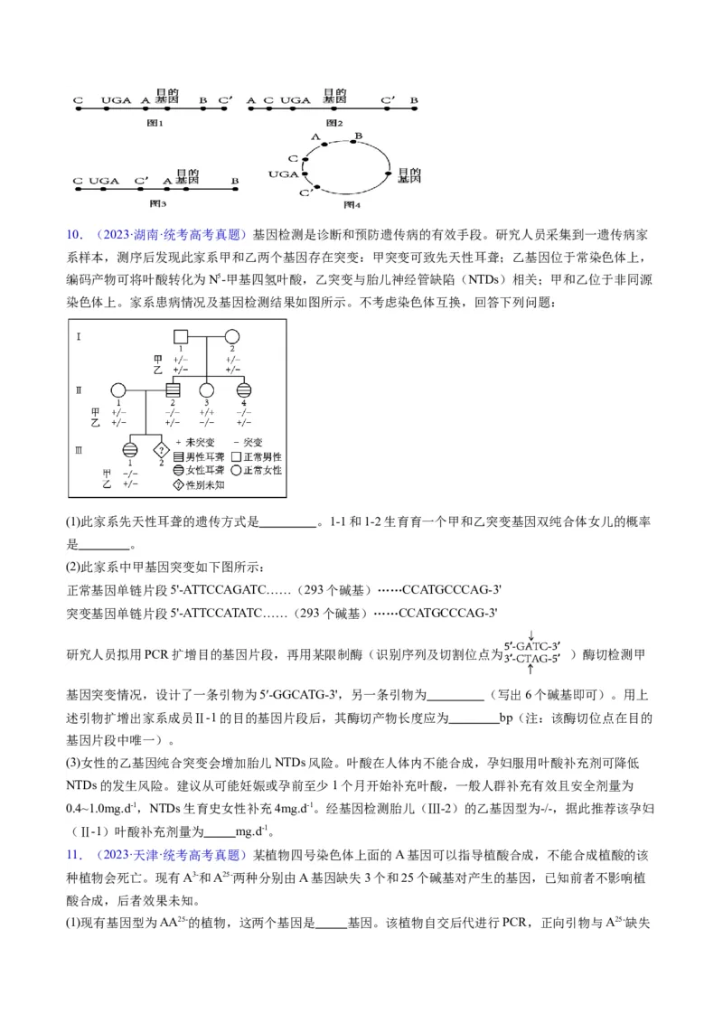 《专题21基因工程-学易金卷：五年（2019-2023）高考生物真题分项汇编（全国通用）（原卷版）_初高中资料库_高中资料库（转存避免链接过期失效）_高中生物》第5页预览